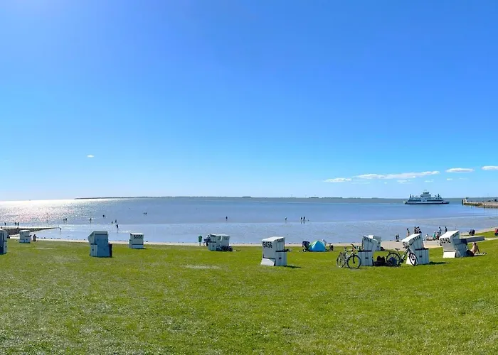 別荘 Reetdachidylle Am Deich - Charmante Doppelhaushaelften *